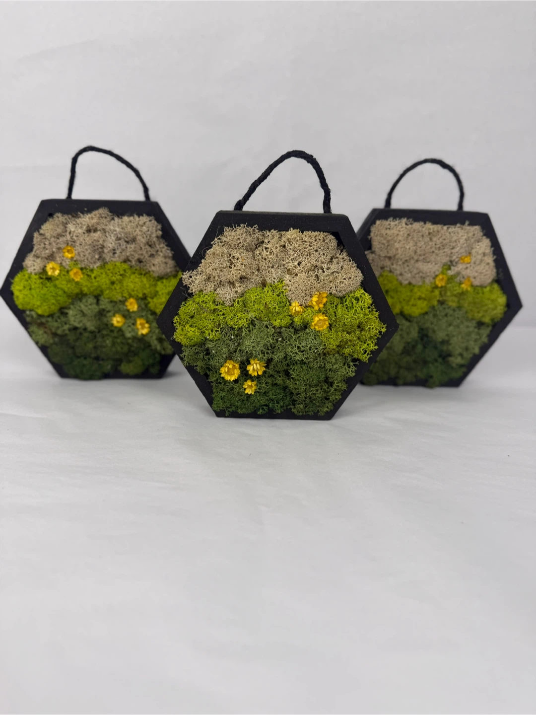 Moss Wall Art Hexagon Frame