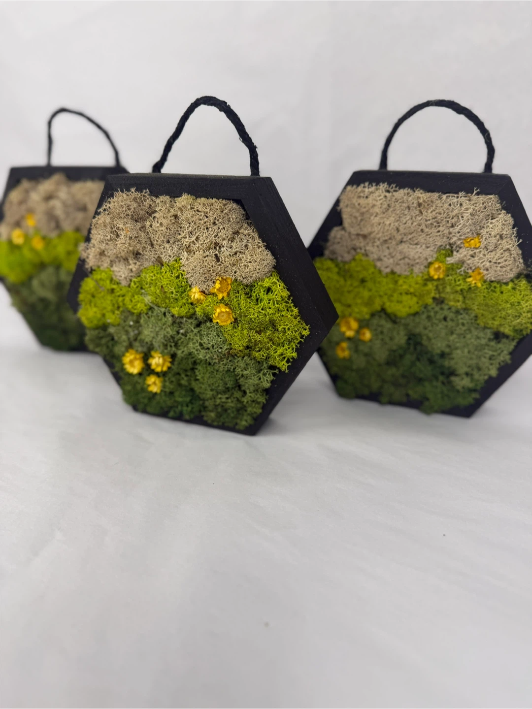 Moss Wall Art Hexagon Frame - photo 4