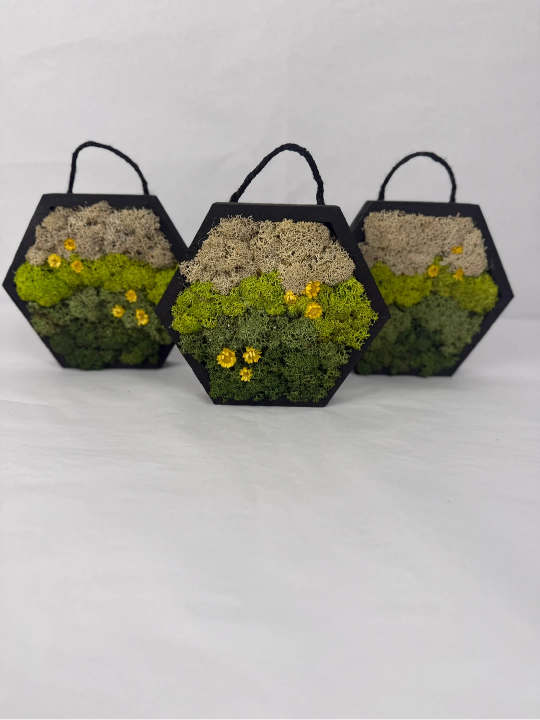 Moss Wall Art Hexagon Frame - photo 2