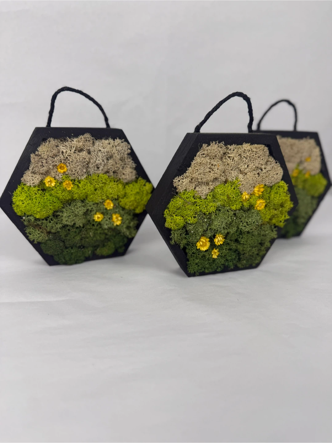 Moss Wall Art Hexagon Frame - photo 3