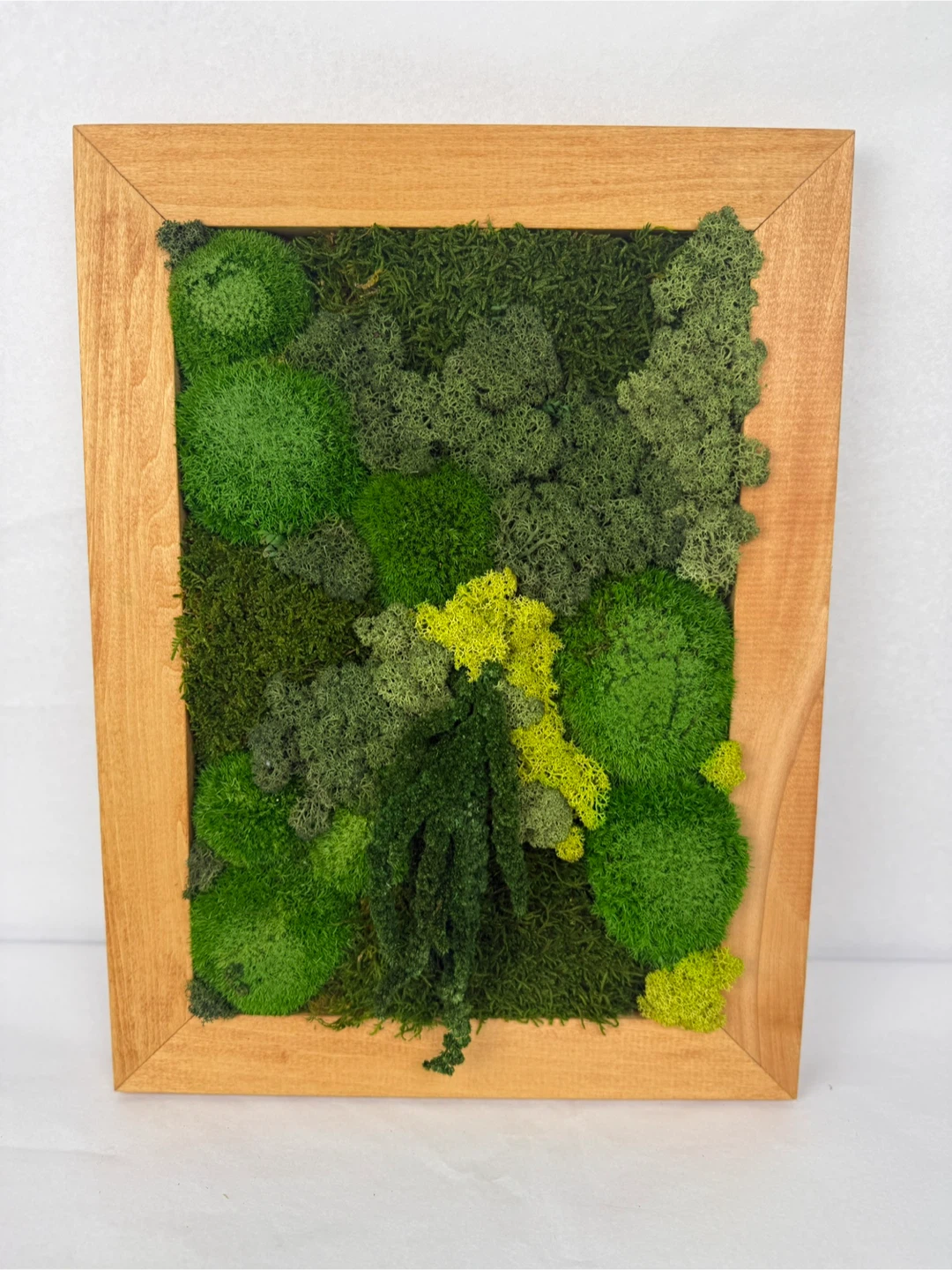 Framed Moss Art