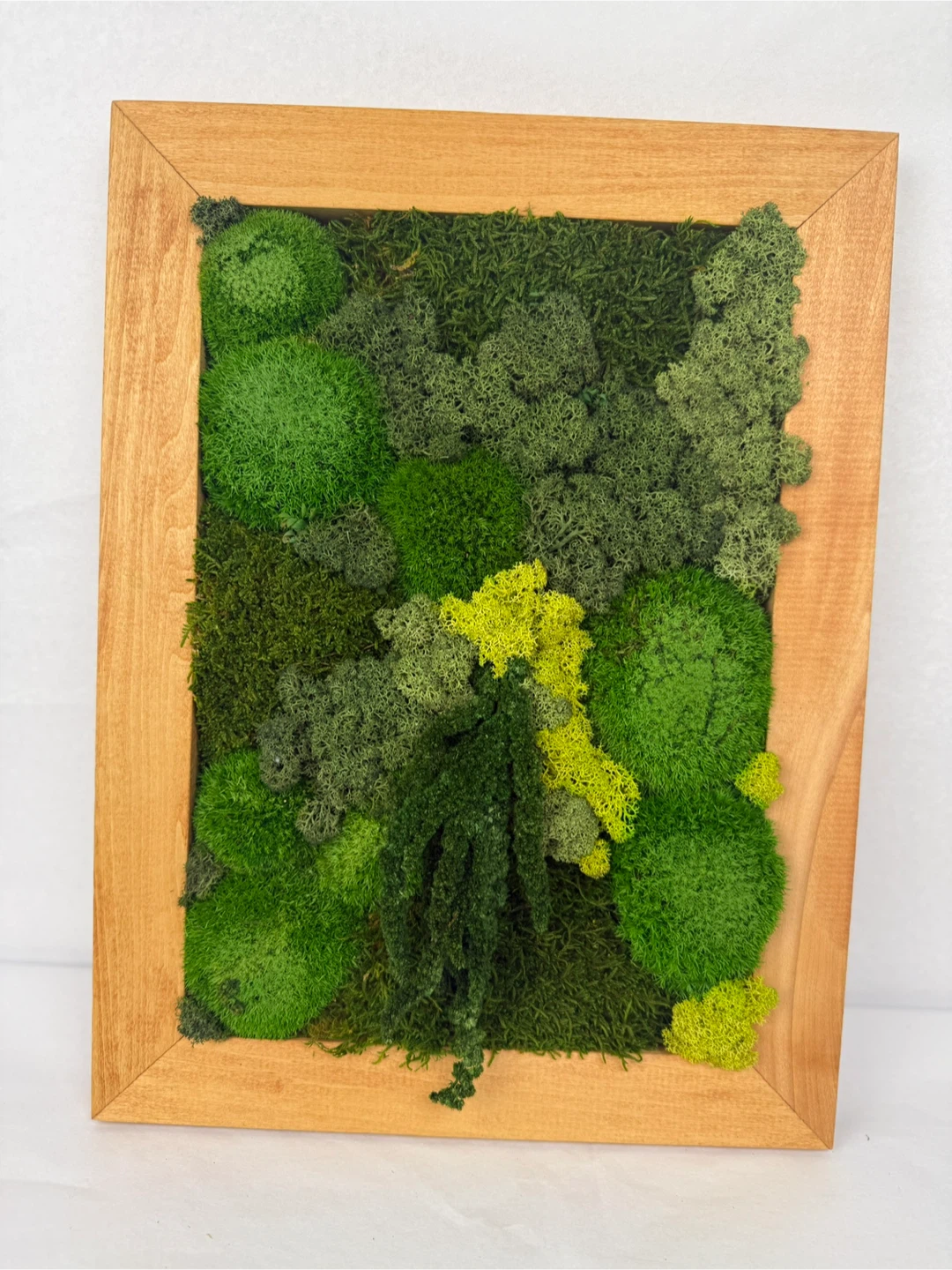 Framed Moss Art - photo 4