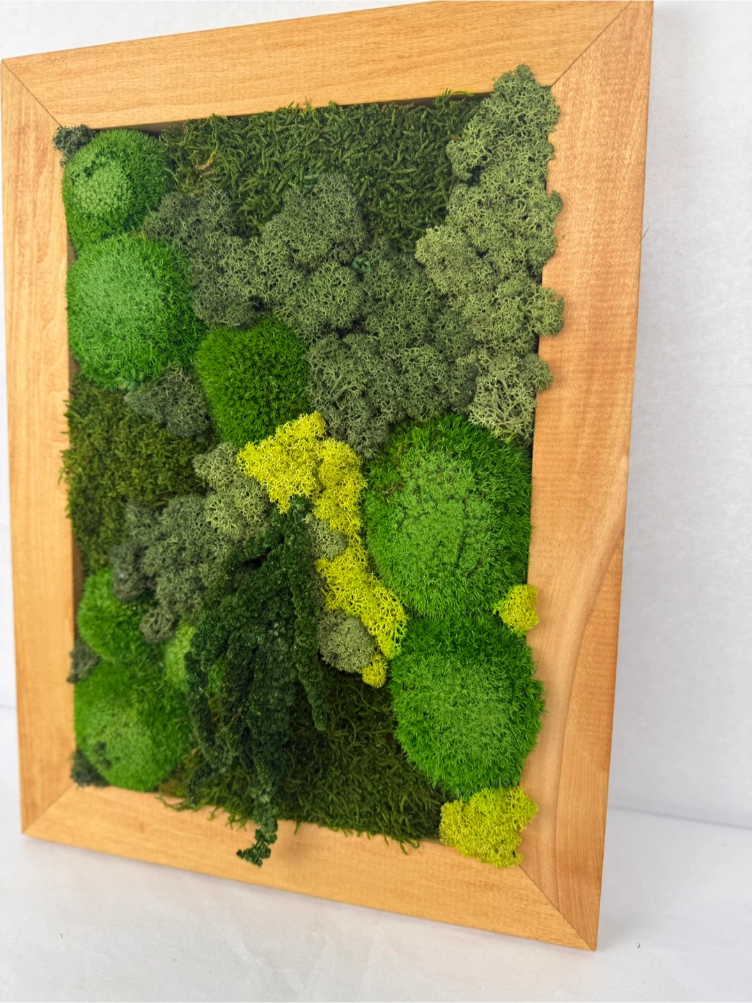 Framed Moss Art - photo 2