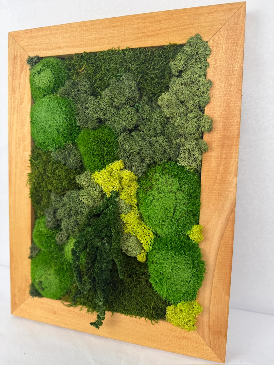 Framed Moss Art - photo 3