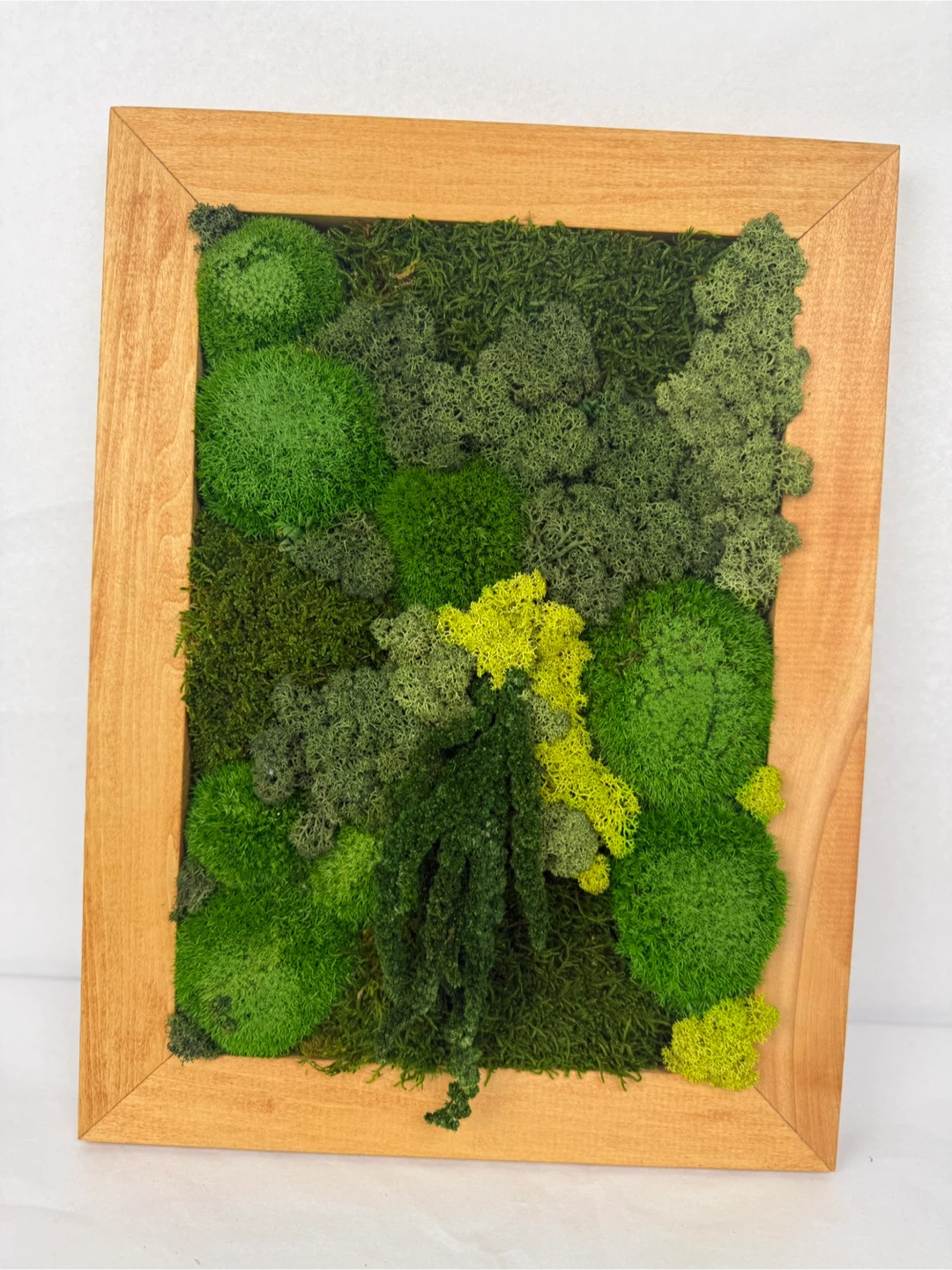 Framed Moss Art - photo 5