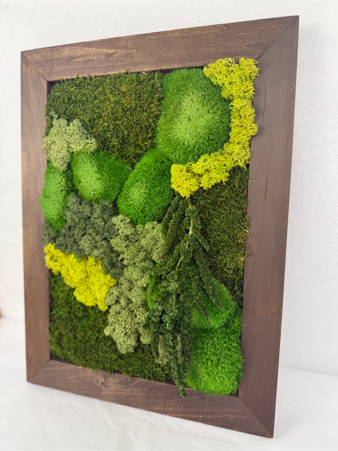 Moss Wall Art in Wood Frame - photo 4