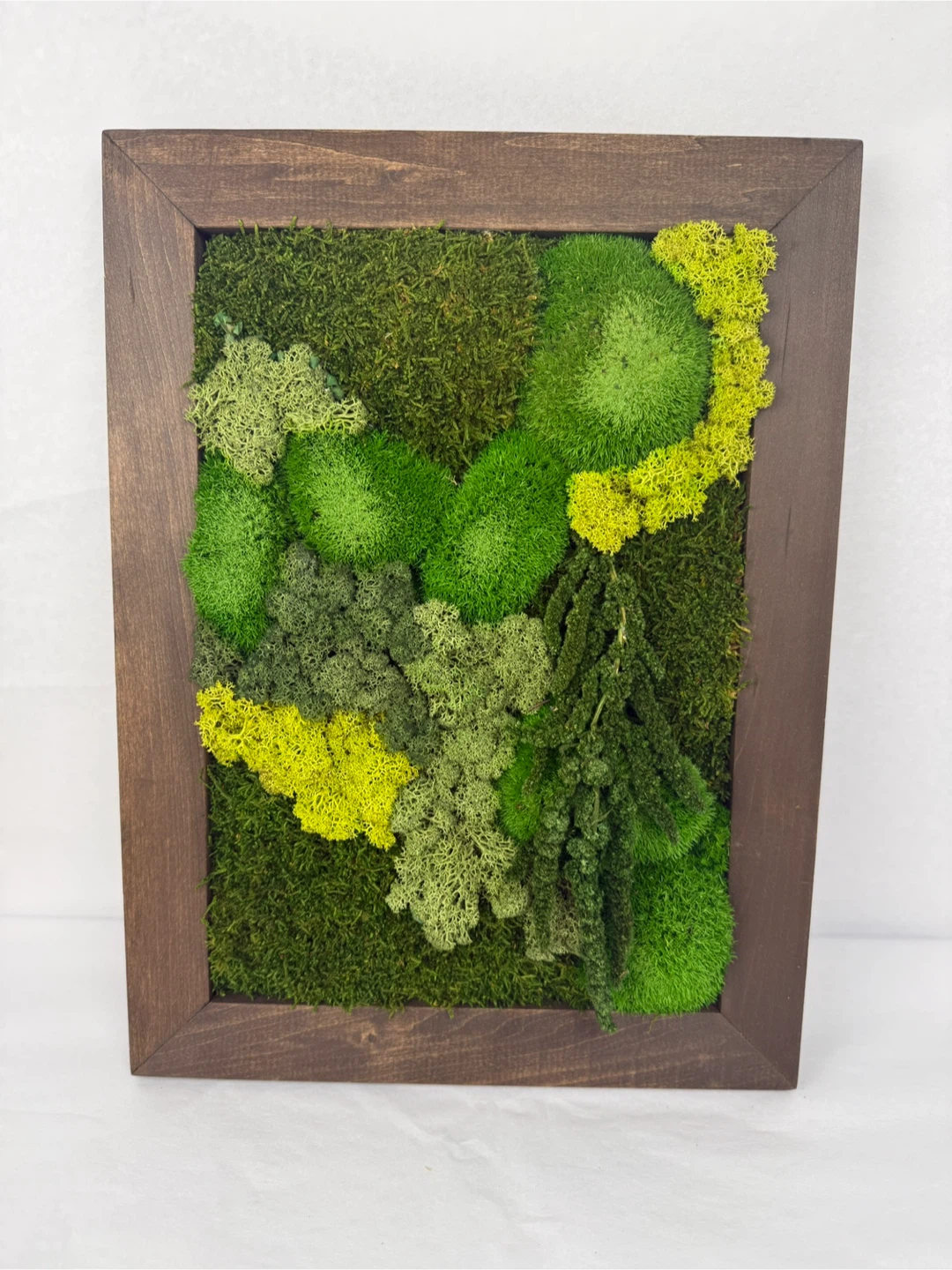 Moss Wall Art in Wood Frame