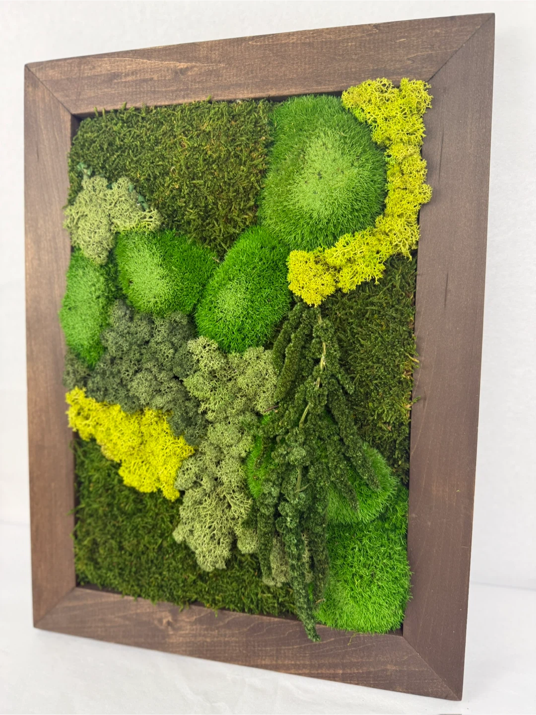 Moss Wall Art in Wood Frame - photo 5