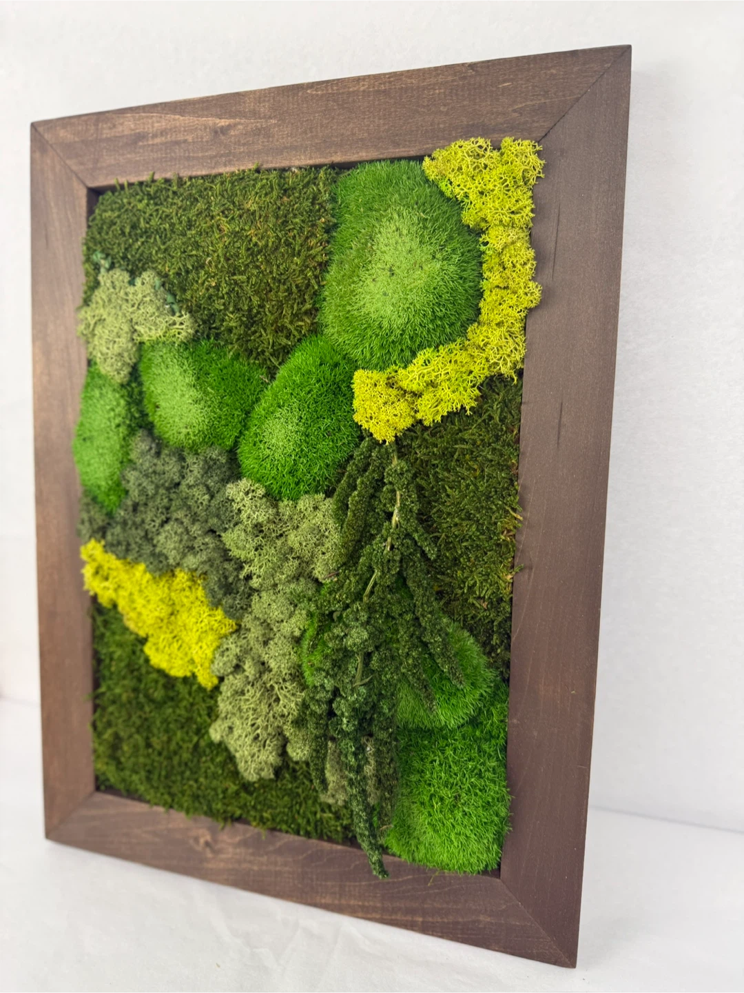 Moss Wall Art in Wood Frame - photo 3