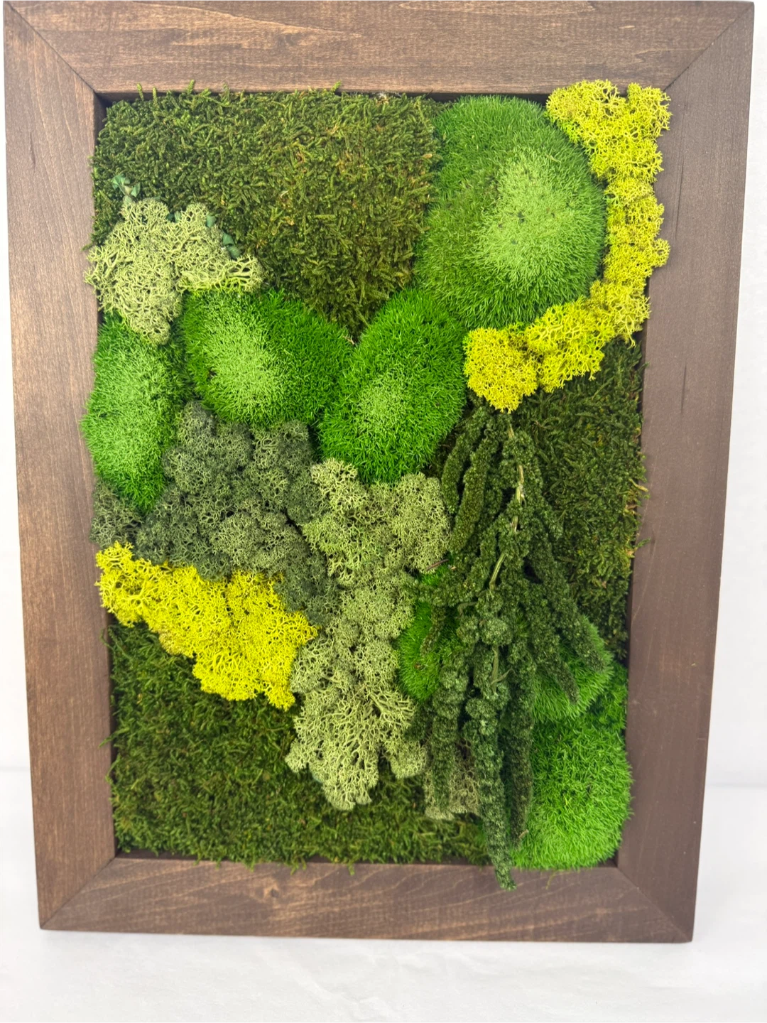 Moss Wall Art in Wood Frame - photo 2