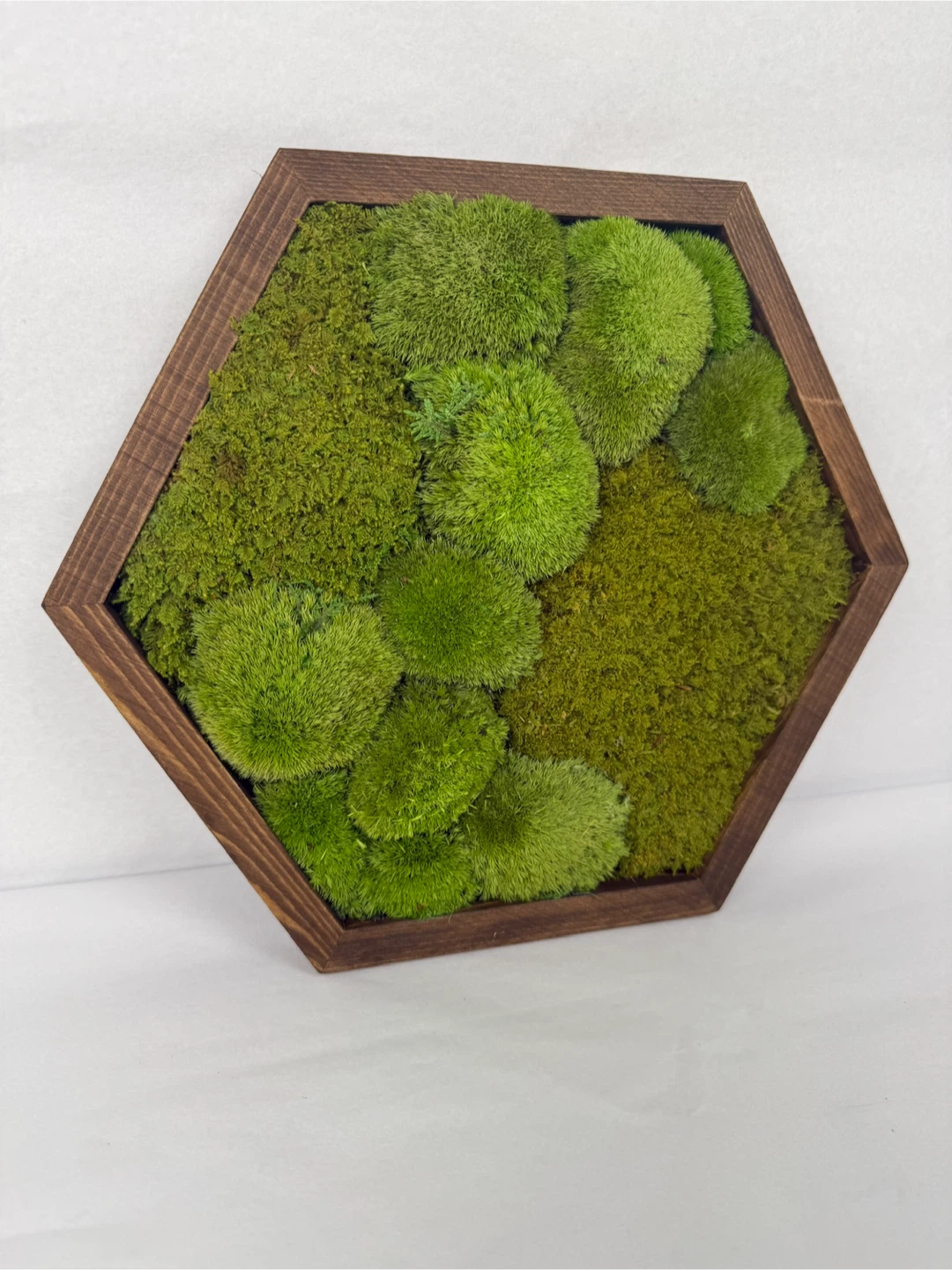 Moss Wall Art in Wood Frame - photo 3