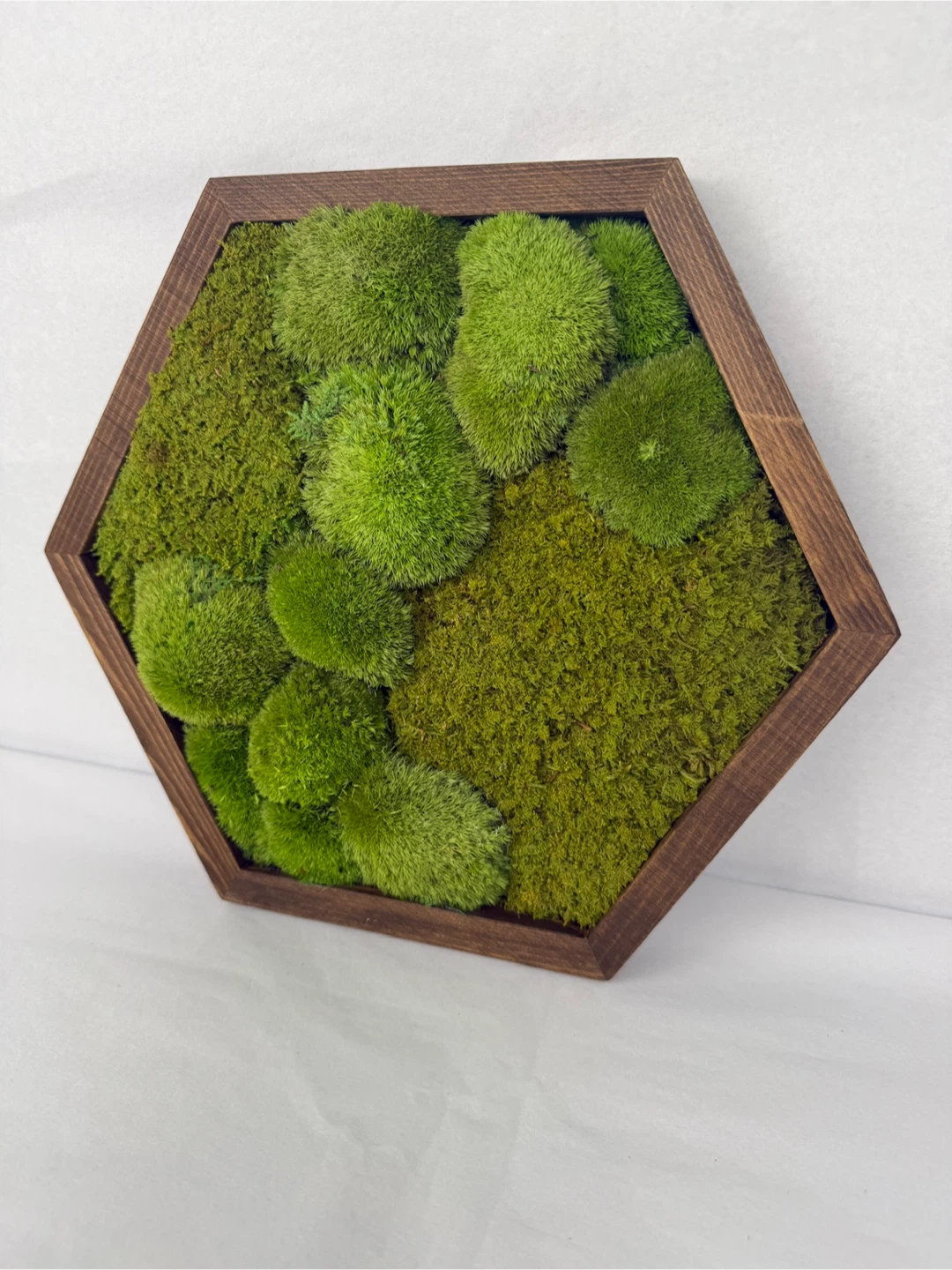 Moss Wall Art in Wood Frame - photo 4
