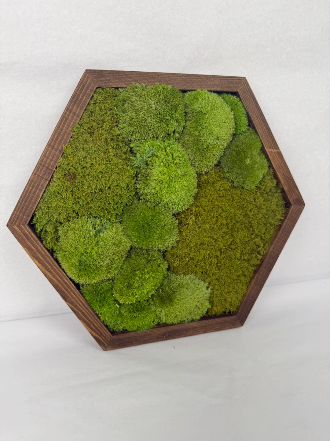 Moss Wall Art in Wood Frame - photo 2