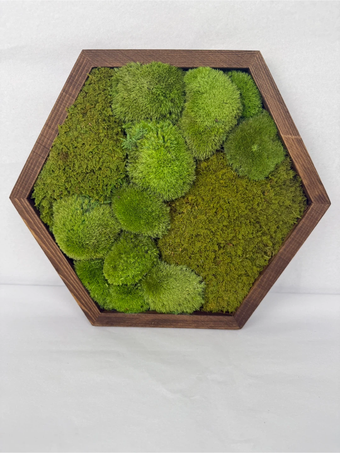 Moss Wall Art in Wood Frame