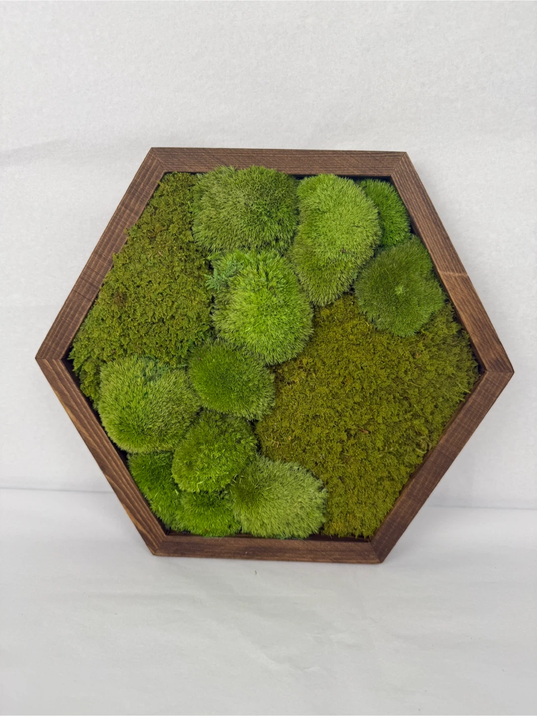 Moss Wall Art in Wood Frame - photo 5