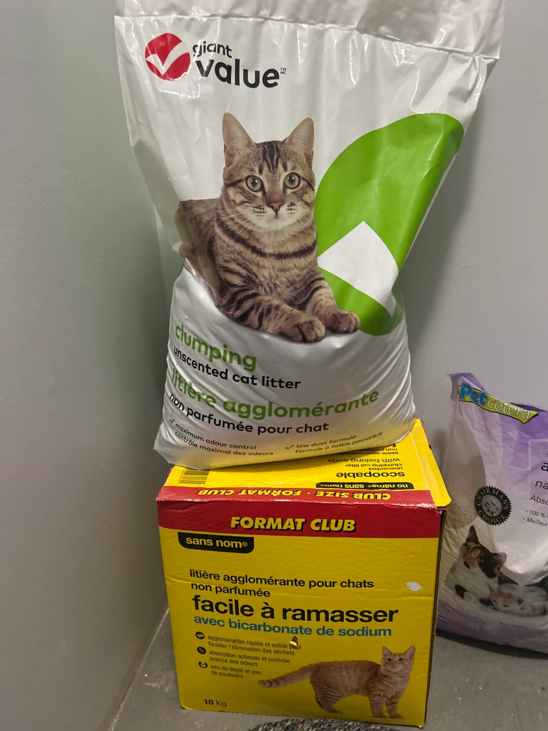 Cat Litter