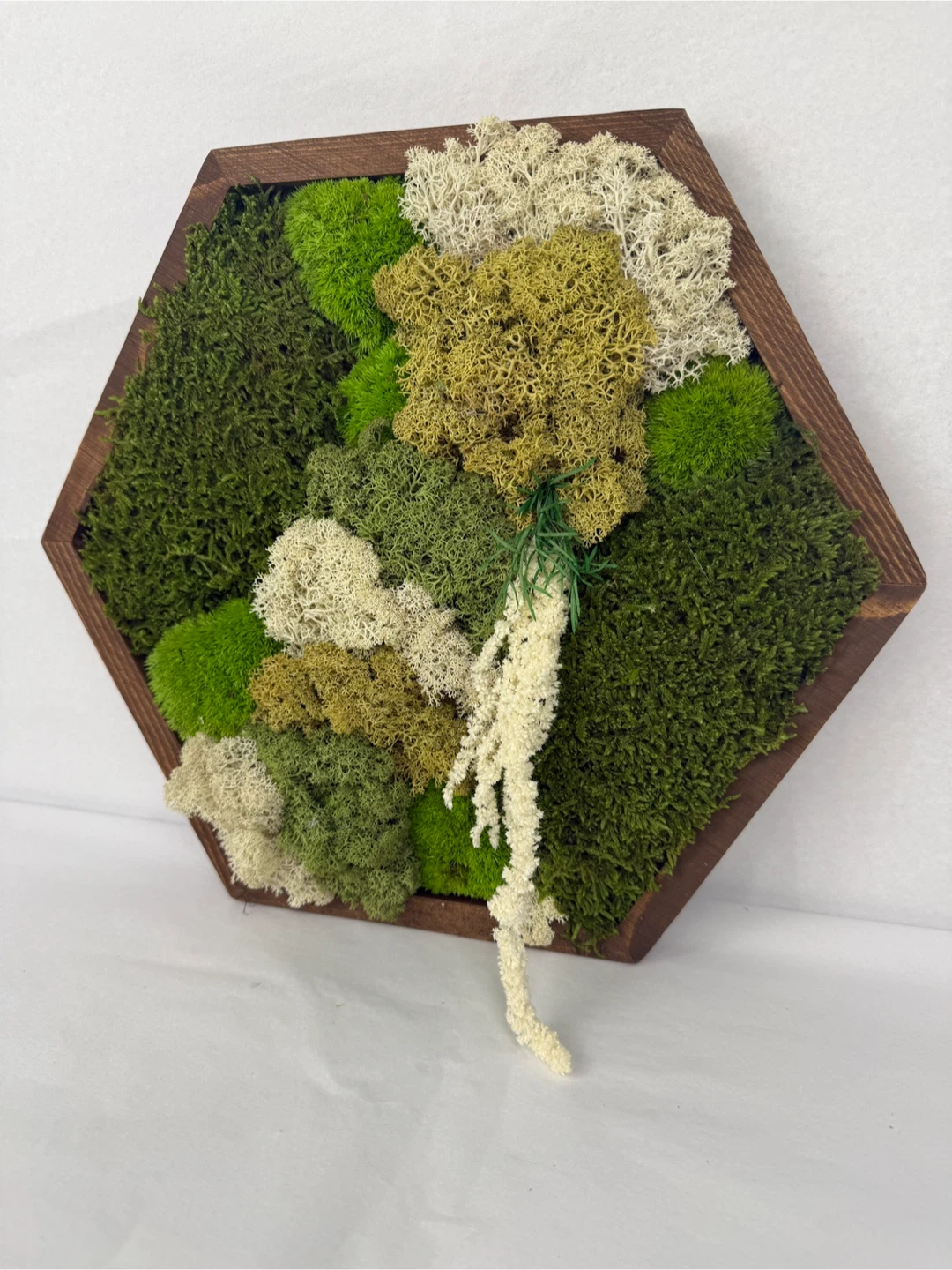 Moss Wall Art in Wooden Frame - photo 3