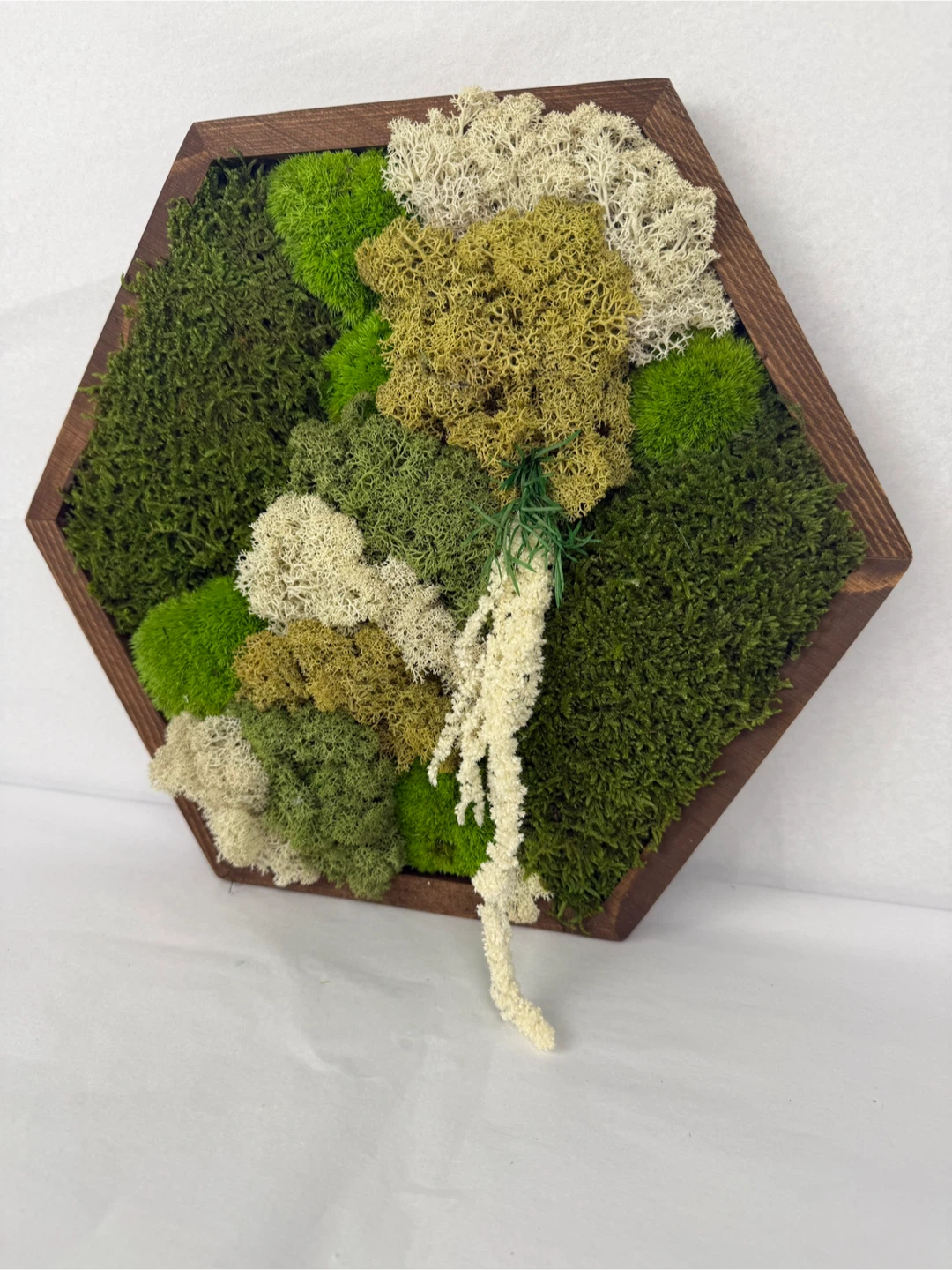 Moss Wall Art in Wooden Frame - photo 4
