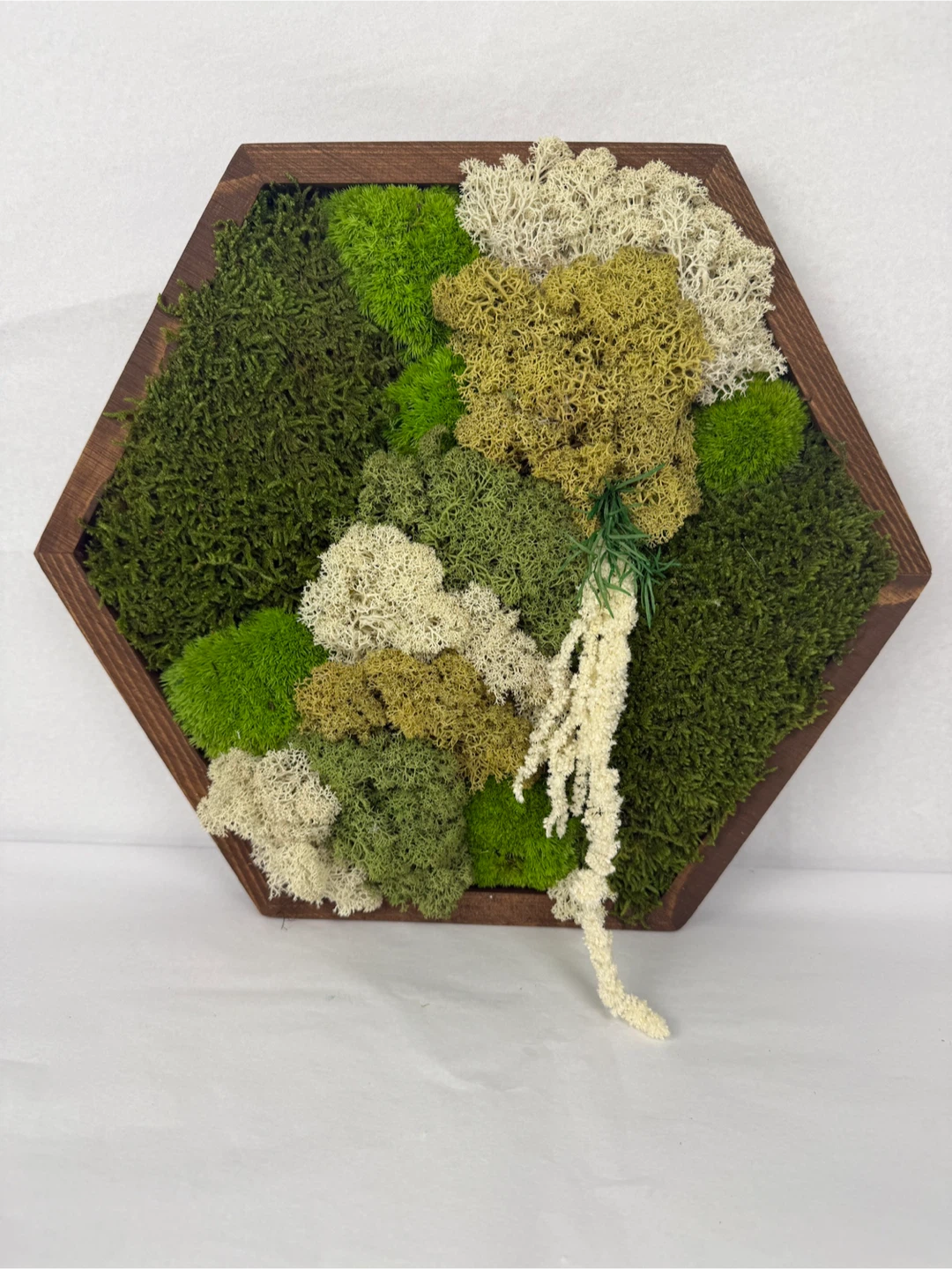 Moss Wall Art in Wooden Frame