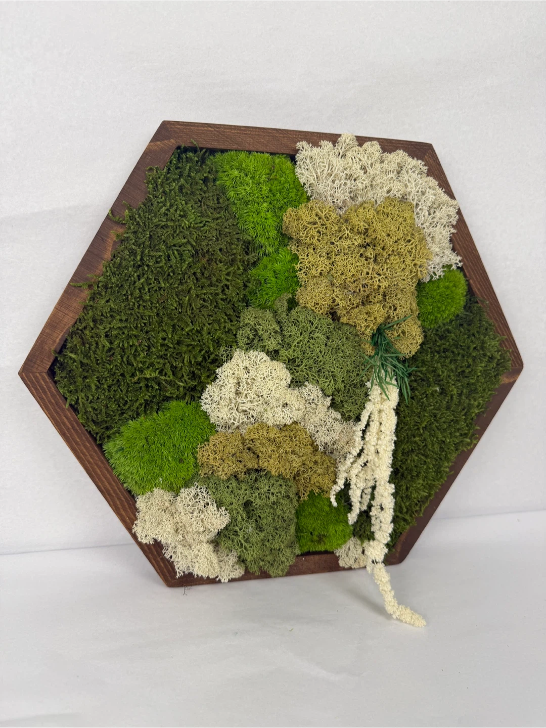 Moss Wall Art in Wooden Frame - photo 2