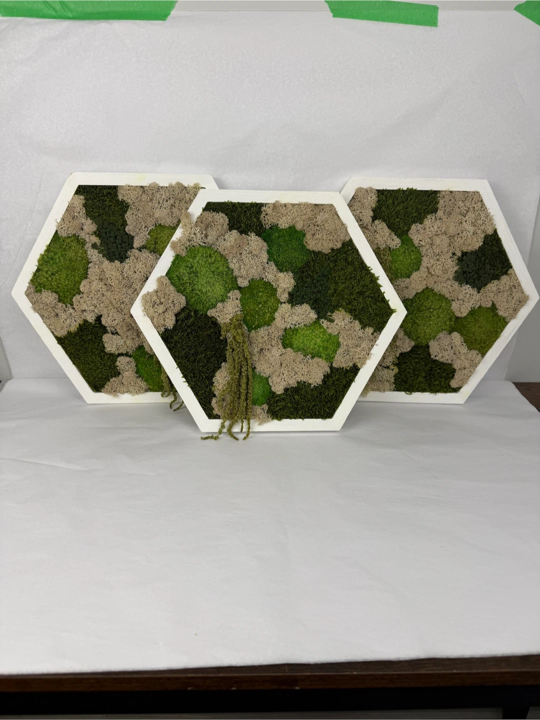 Moss Wall Art - Set of 3 Wood Frames - photo 2