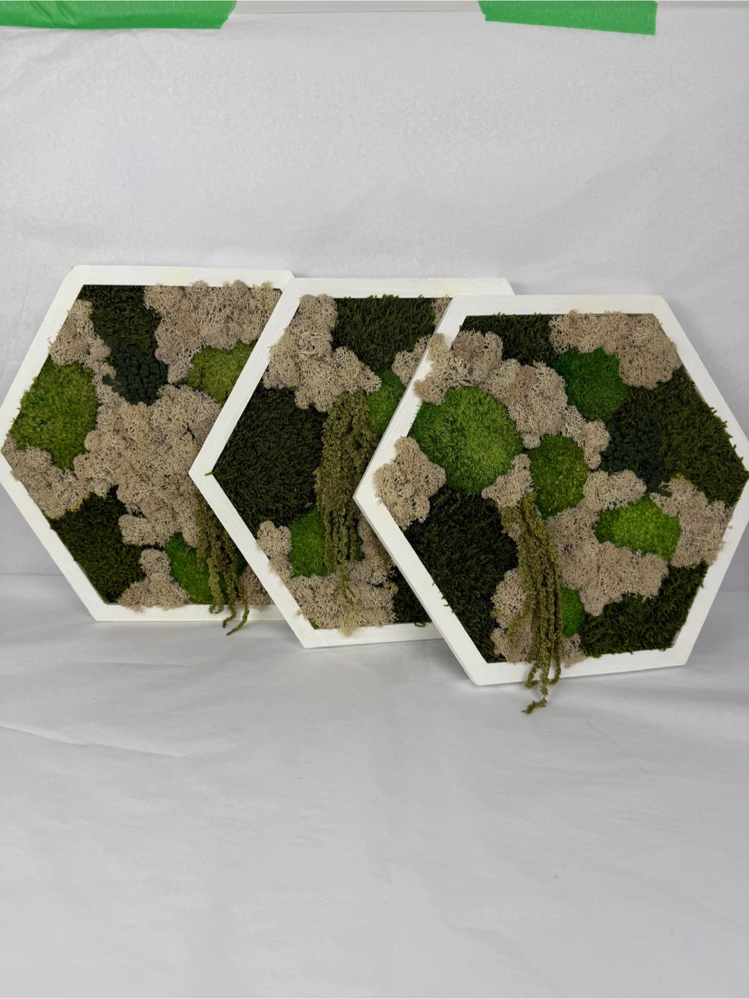 Moss Wall Art - Set of 3 Wood Frames