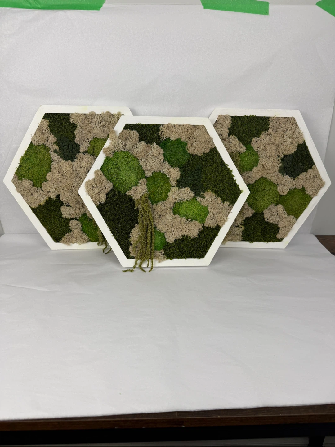 Moss Wall Art - Set of 3 Wood Frames - photo 3