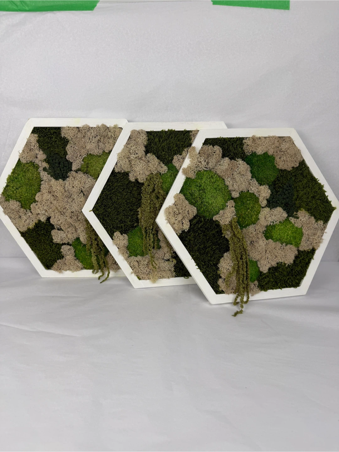 Moss Wall Art - Set of 3 Wood Frames - photo 4