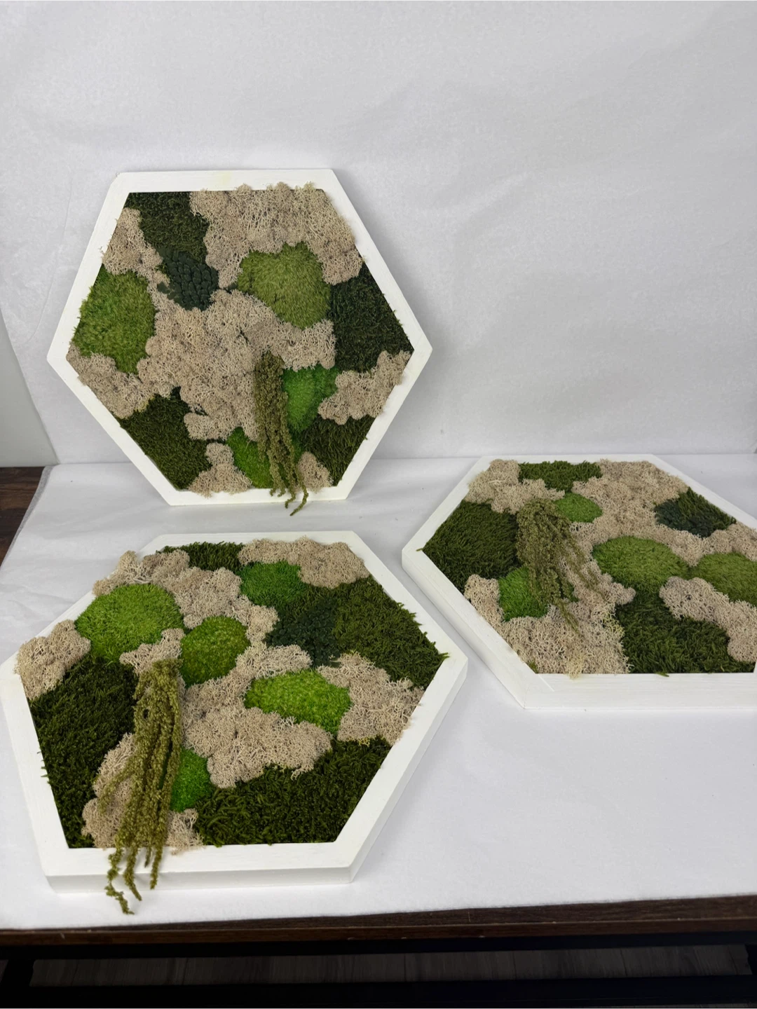 Moss Wall Art - Set of 3 Wood Frames - photo 5