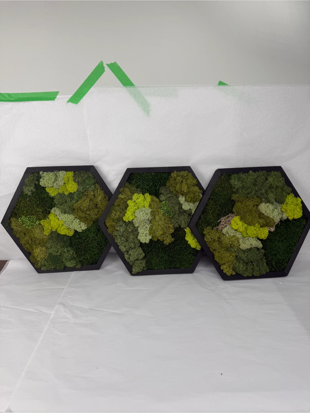 Set of 3 Framed Moss Art Panels - photo 4