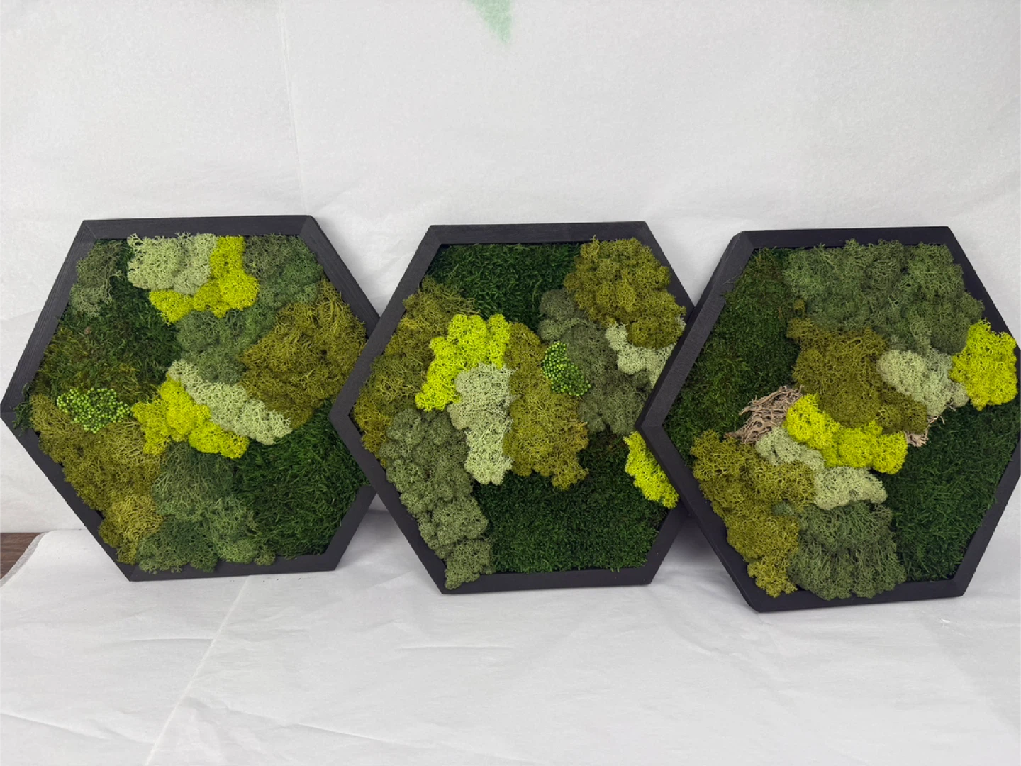 Set of 3 Framed Moss Art Panels - photo 5