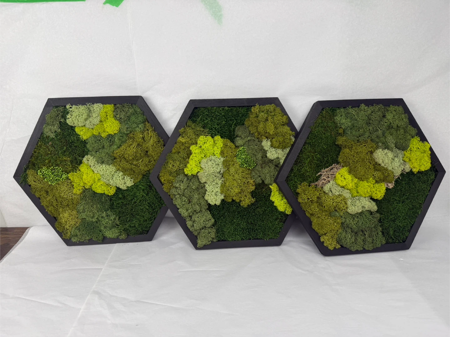 Set of 3 Framed Moss Art Panels - photo 2
