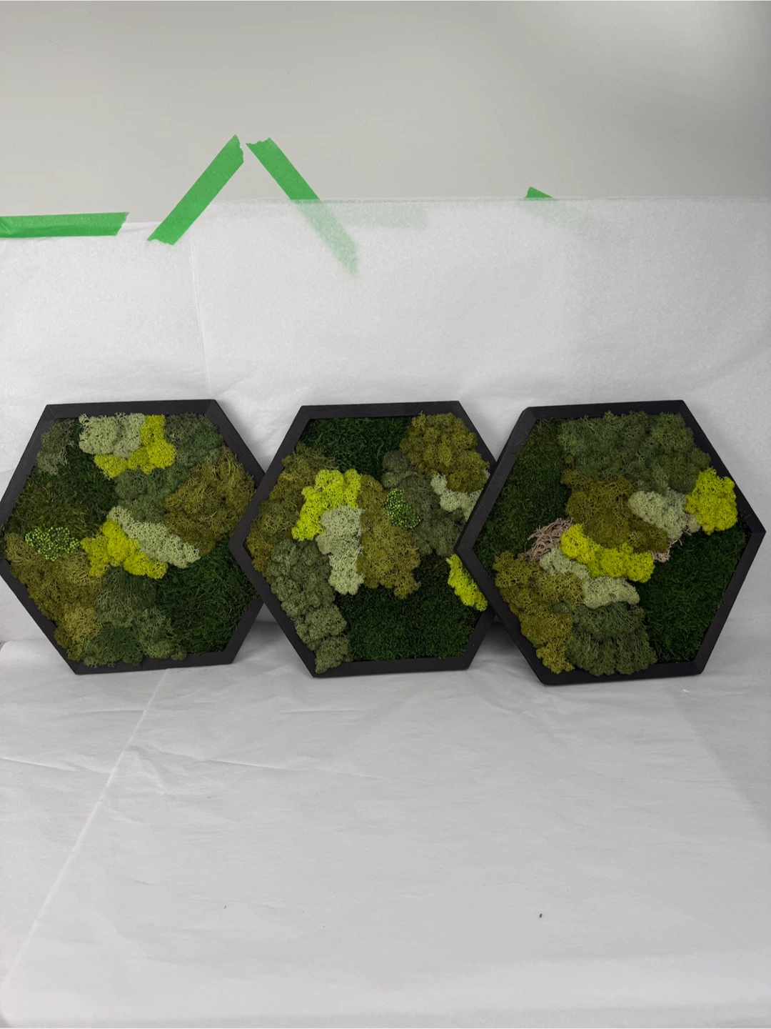 Set of 3 Framed Moss Art Panels - photo 3