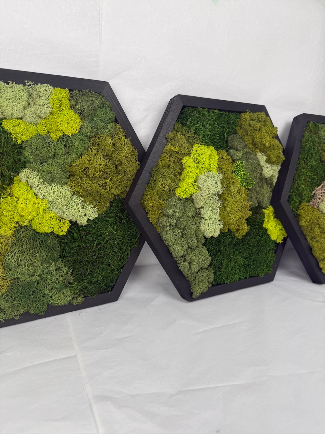 Set of 3 Framed Moss Art Panels