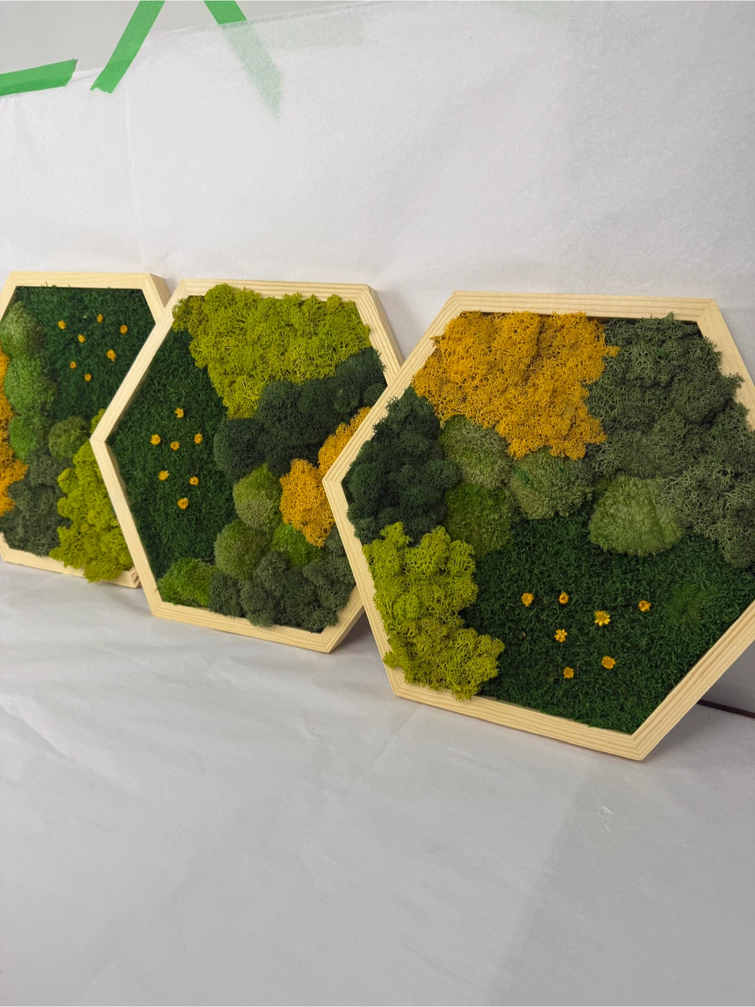 Moss Wall Art - Set of 3 Hexagon Frames - photo 3