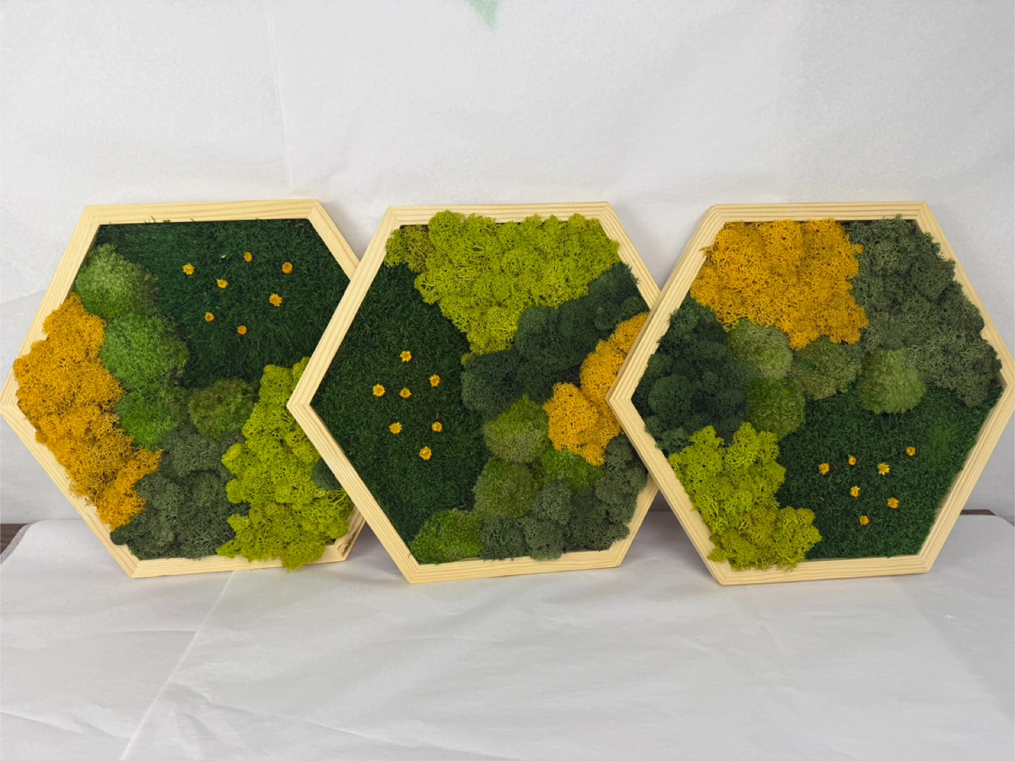 Moss Wall Art - Set of 3 Hexagon Frames