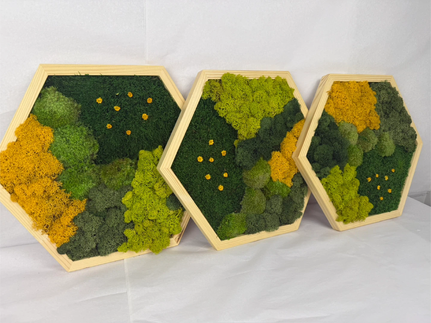Moss Wall Art - Set of 3 Hexagon Frames - photo 5