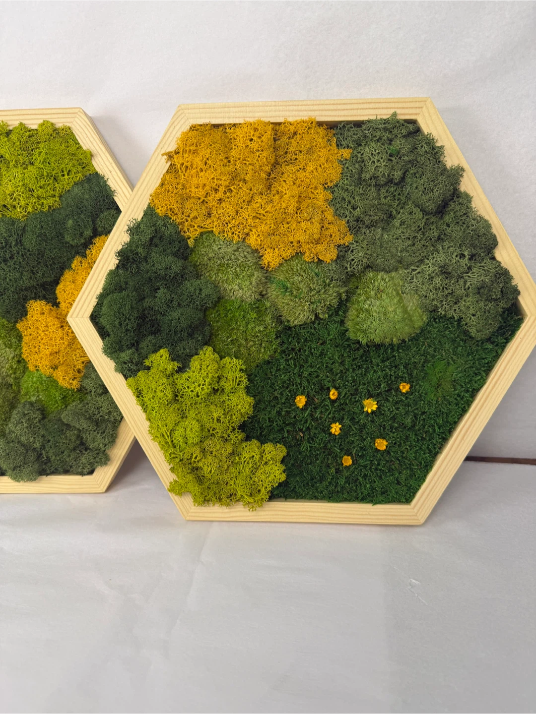 Moss Wall Art - Set of 3 Hexagon Frames - photo 2