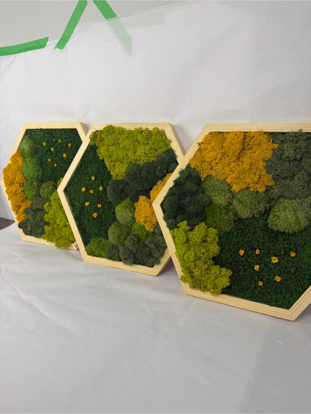 Moss Wall Art - Set of 3 Hexagon Frames - photo 4