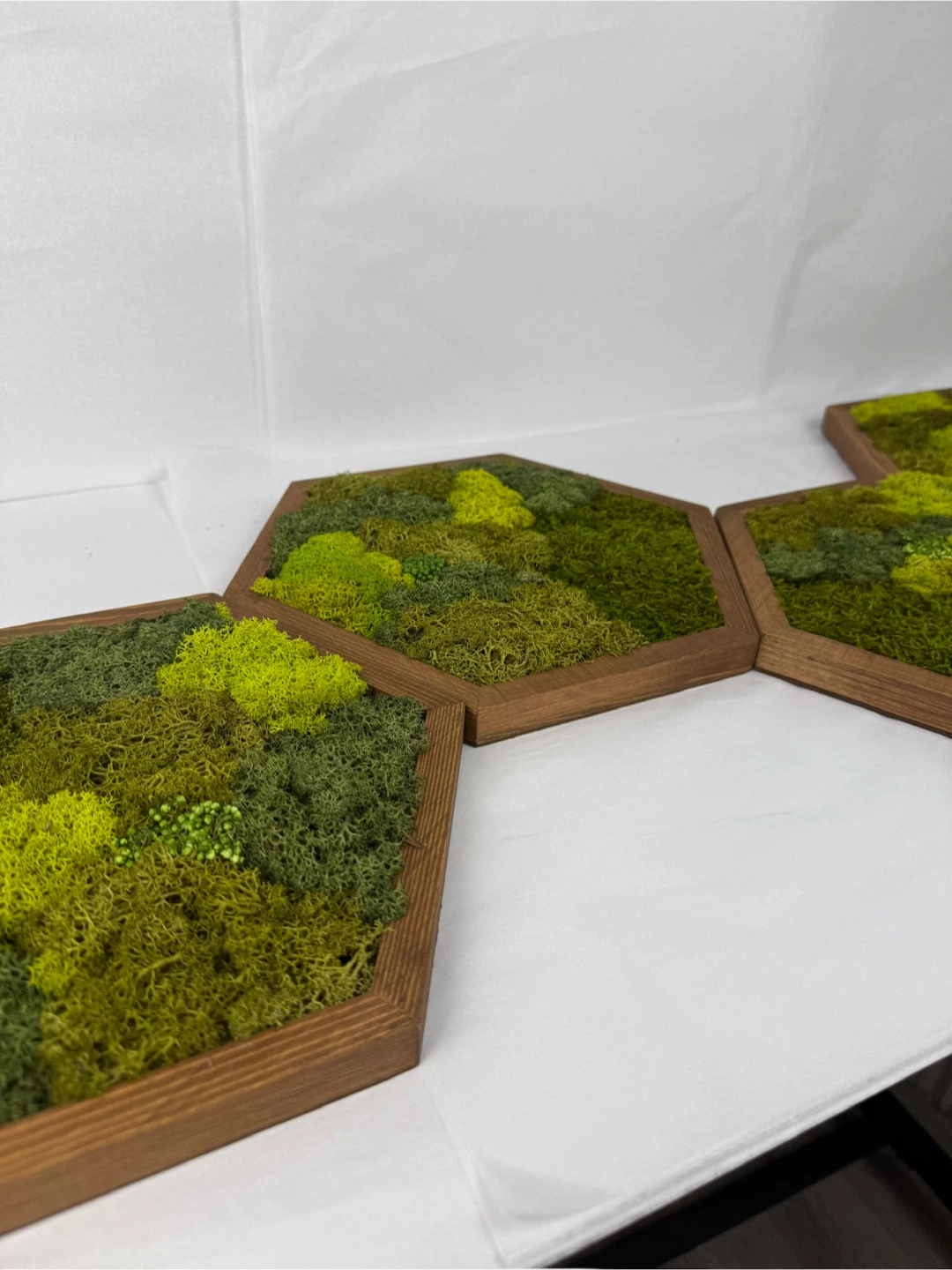 Moss Wall Art Hexagon Tiles - photo 3
