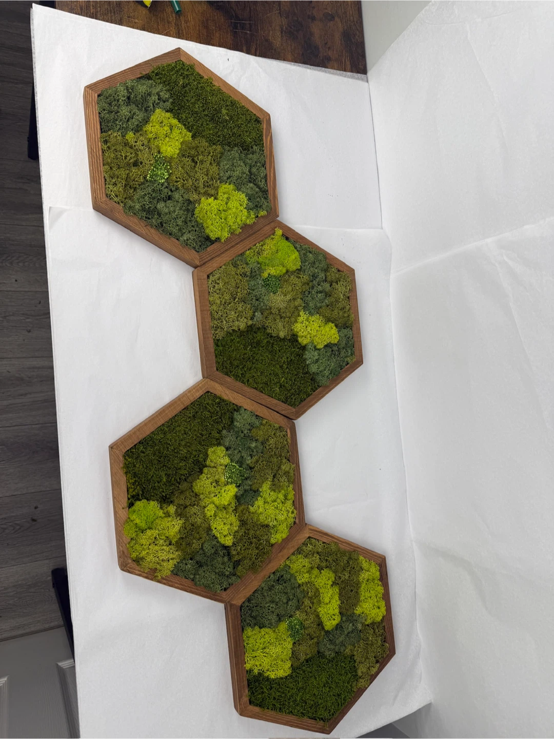 Moss Wall Art Hexagon Tiles
