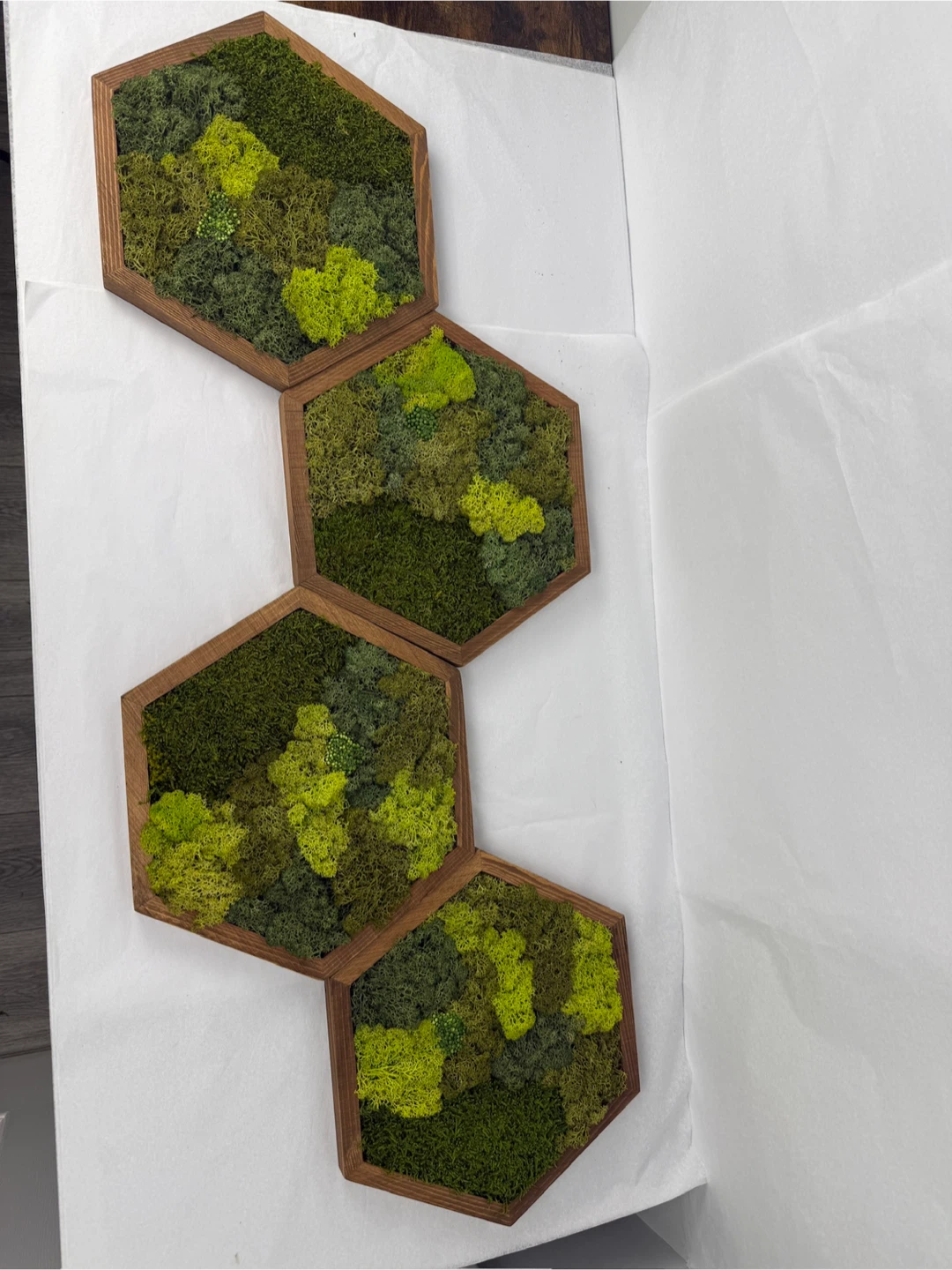Moss Wall Art Hexagon Tiles - photo 4