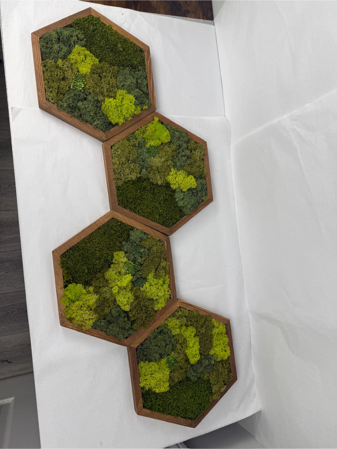 Moss Wall Art Hexagon Tiles - photo 2