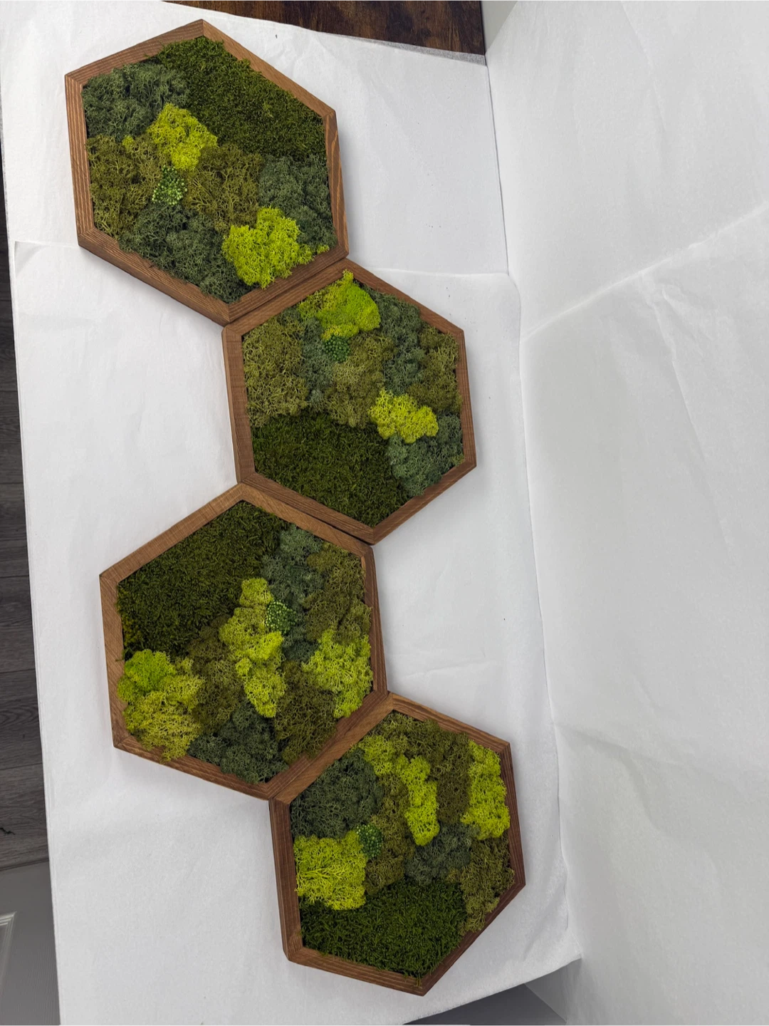 Moss Wall Art Hexagon Tiles - photo 5