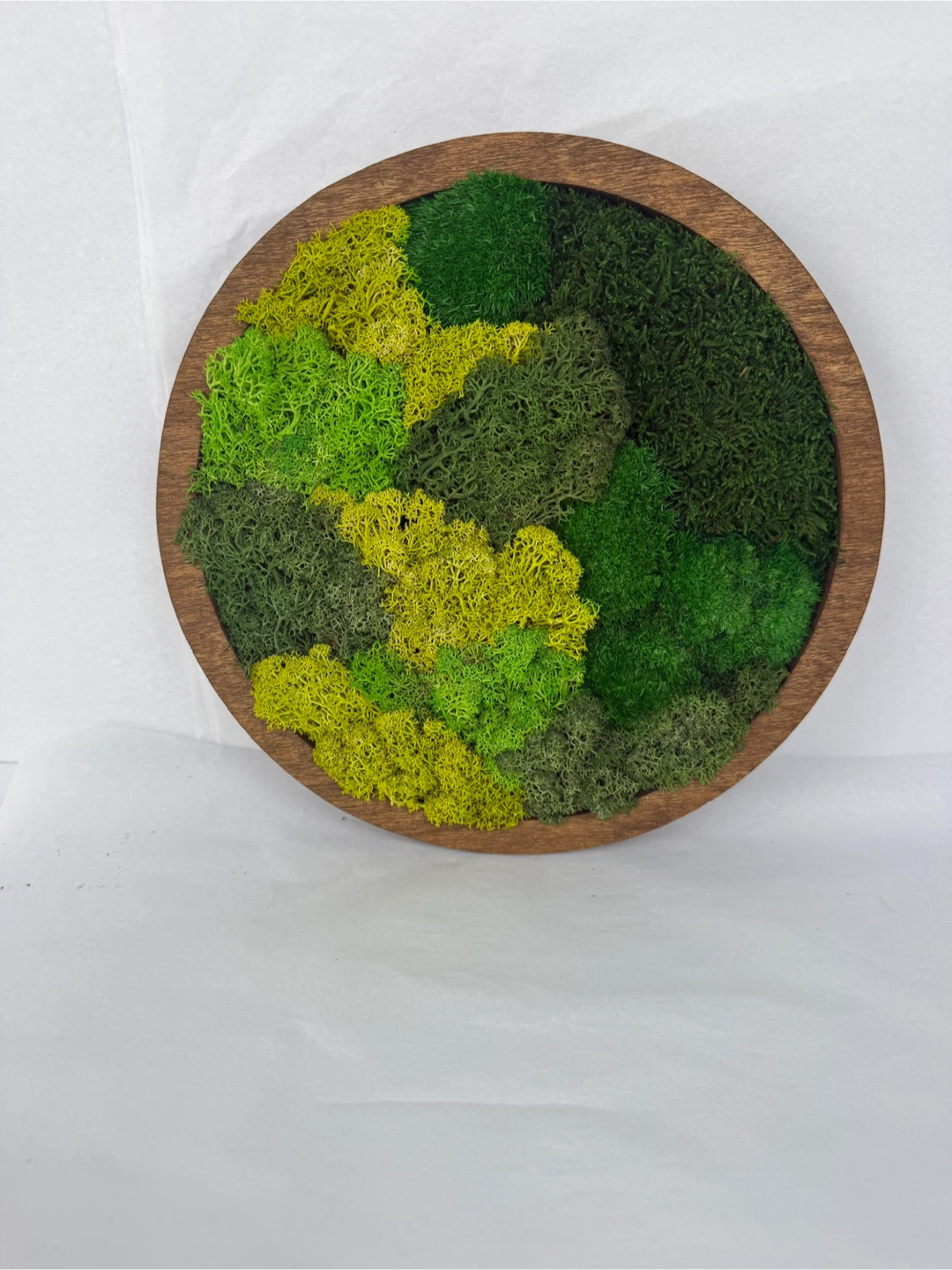 Moss Wall Art Round Frame - photo 2