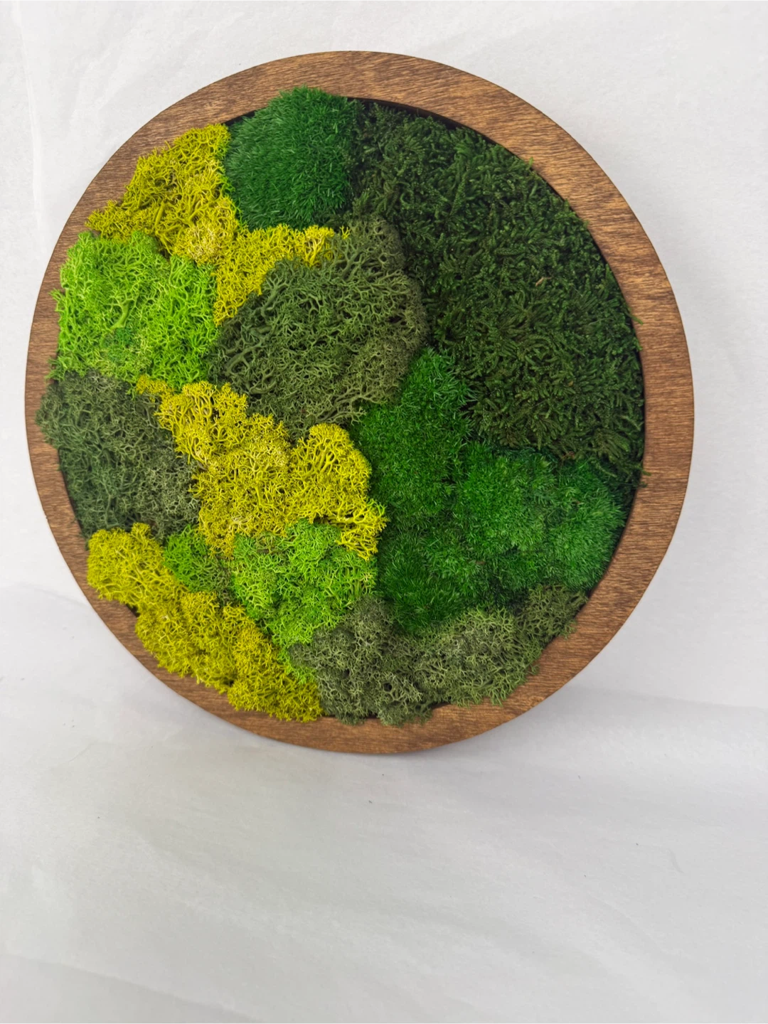 Moss Wall Art Round Frame