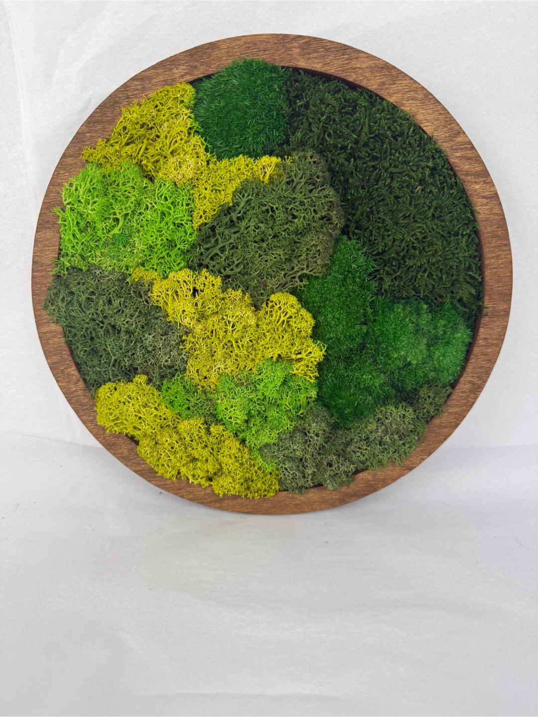 Moss Wall Art Round Frame - photo 3