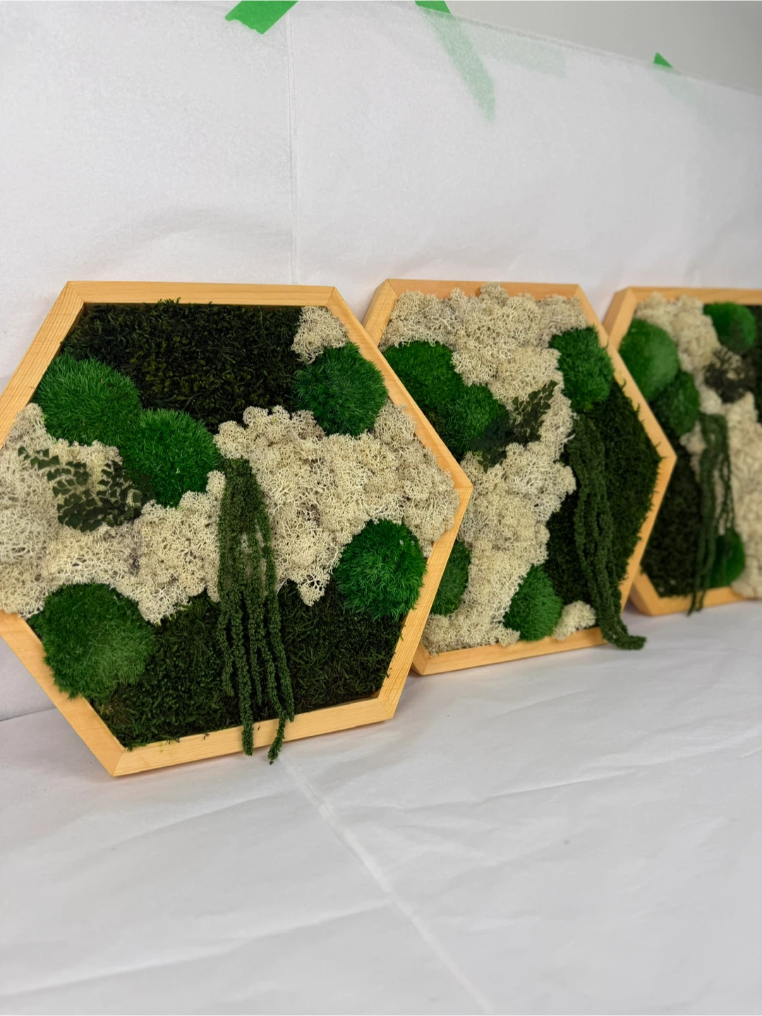Moss Wall Art Hexagon Frames - photo 2