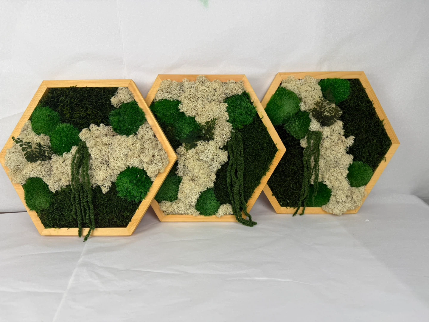 Moss Wall Art Hexagon Frames - photo 4