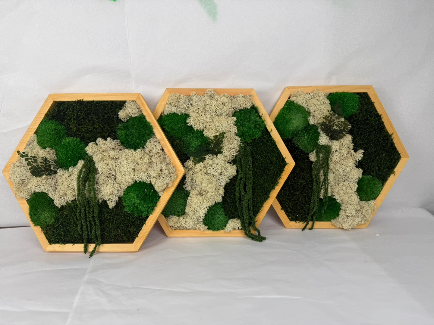 Moss Wall Art Hexagon Frames - photo 5